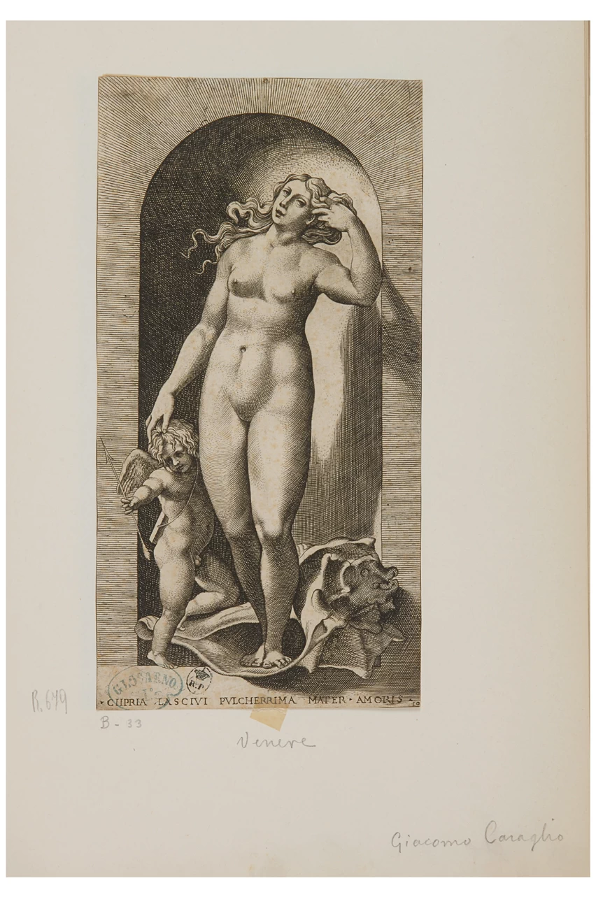 Fiorentino - Ciipria lascivi pulcherrima mater amoris. Venere e Amore, Galleria Sabauda, Torino